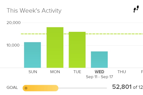 A picture of the Fitbit daily activity chart.