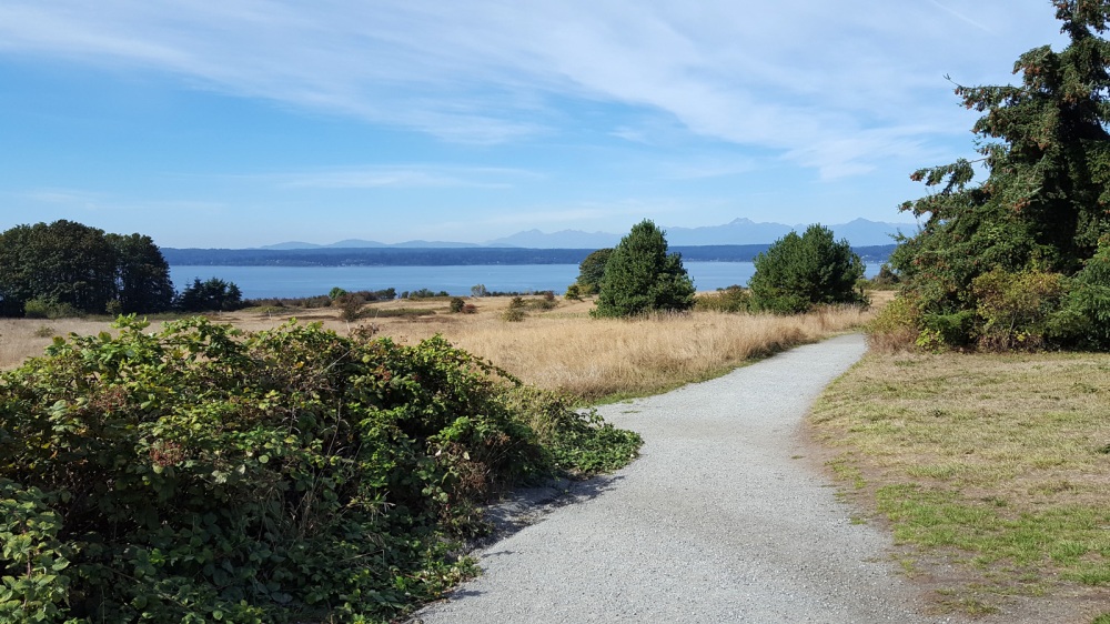 Picture of Discovery Park Running Trail