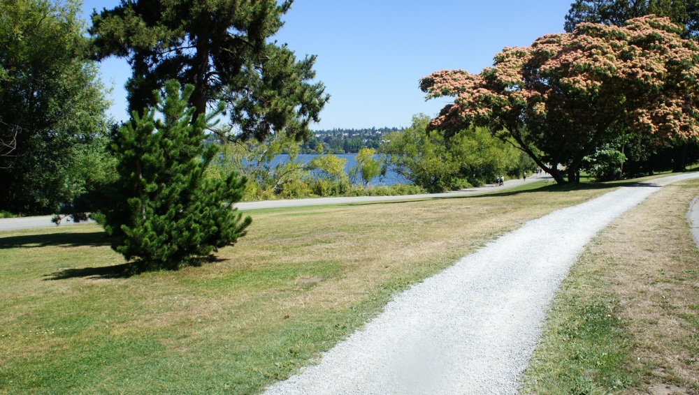 Picture of Green Lake Park Running Trail