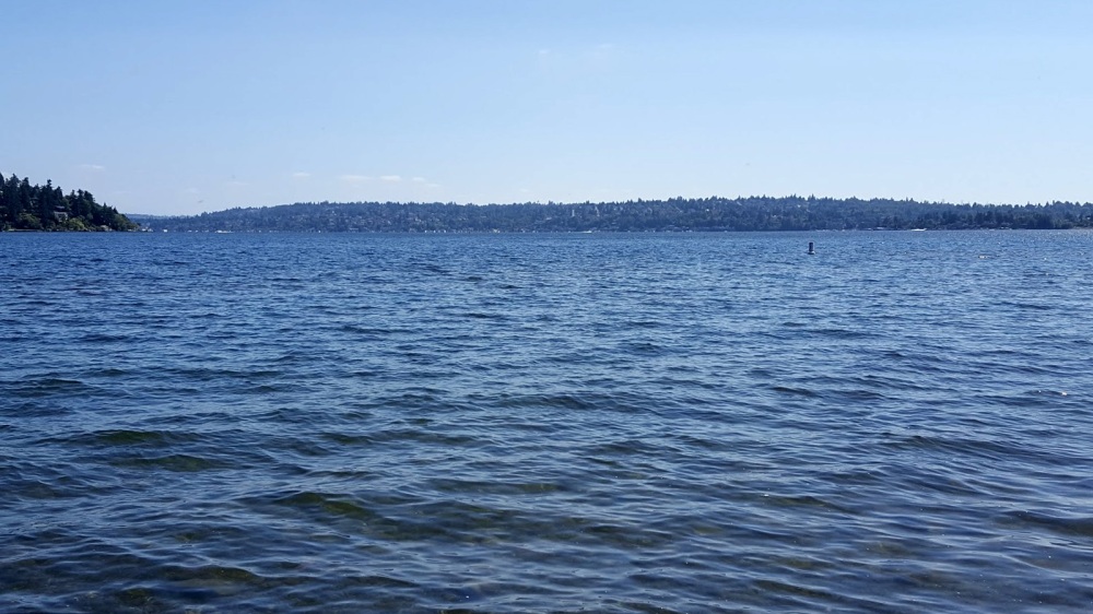 Picture of Lake Washington - View from Seward Park